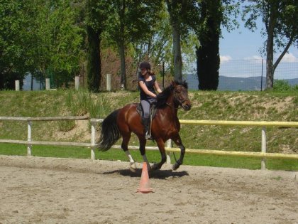 Un peu de galop!