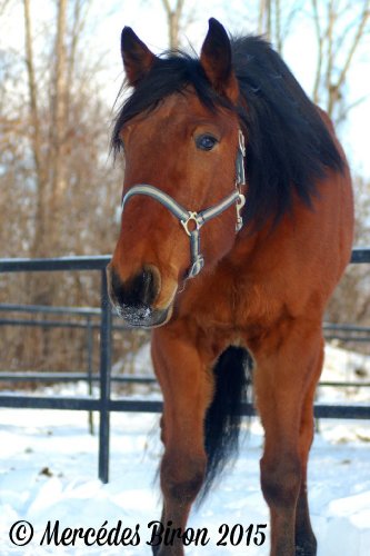 mon gros bébé dans la neige <3