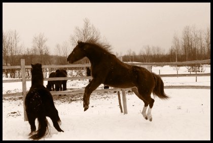 I belive I can fly! Haha :P