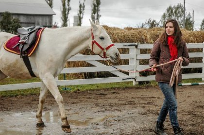 Princely Furry, mon premier cheval
