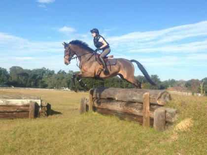 Ellie, Rocking Horse Stables 2015