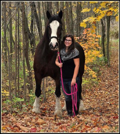 Moi et Léa, une belle jument Clydesdale x Shire dont je m'occupe...
