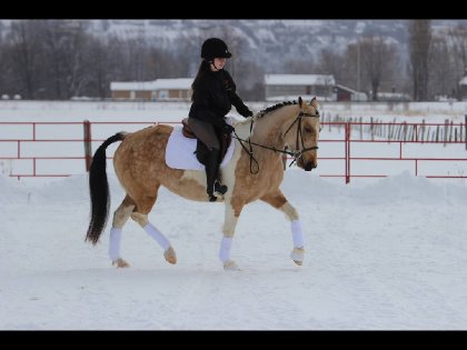 Dressage avec ma ponette ! 