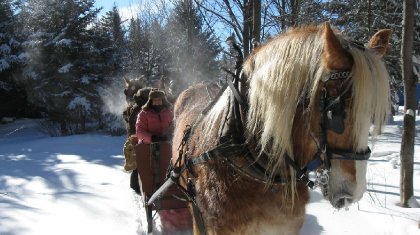 avec le club de randonnée St-Sylvestre 31 janvier 2015