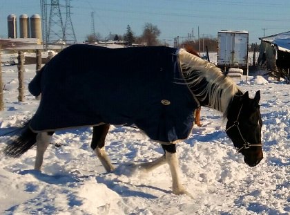 Belle journée malgré le froid