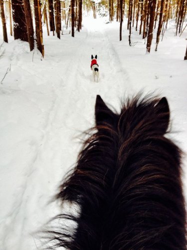 J'adore l'hiver pour ça!