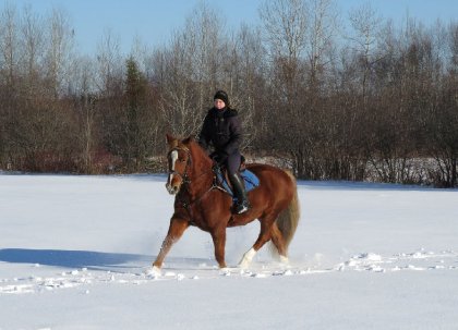 Sur ma jument avant de partir en rando, décembre 2014.