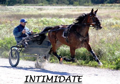 intimidate, notre champion quebecois! :)