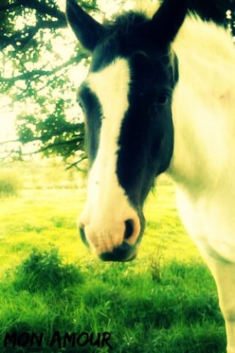 ma tite ponette promesse &#9829; 