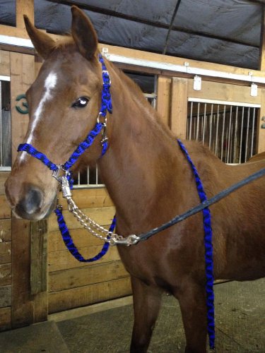 photo par Cath/Dusty