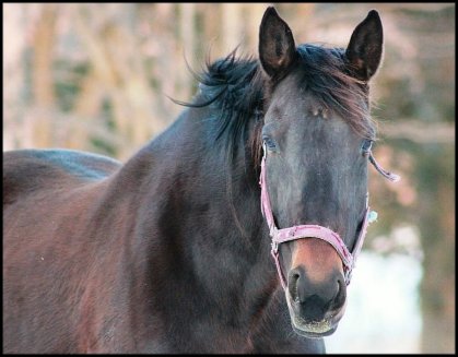 ma belle amie :) <3