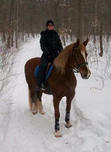 Une autre belle trail avec mon gros poney poilu! Mars 2015. :)