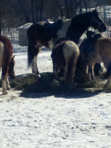 photo par montou