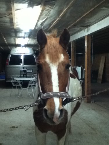 Daisy:)