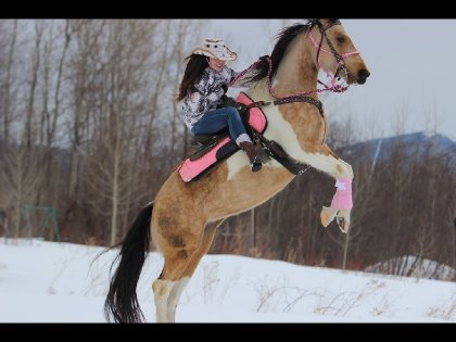 my dream <3 ma drag et moi dans les montagnes '