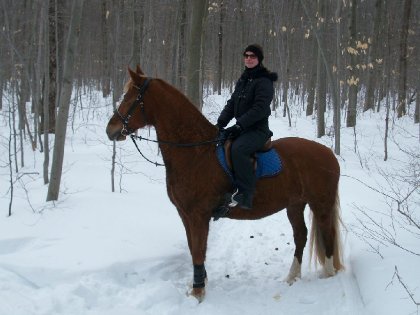 Une autre belle trail avec mon gros poney poilu! Mars 2015. :)