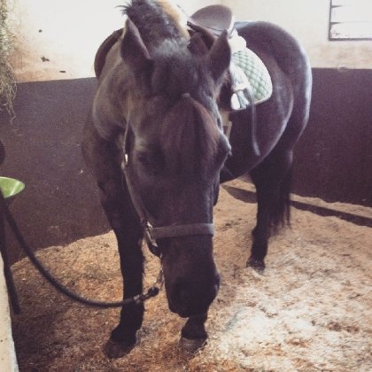 photo par Sarou