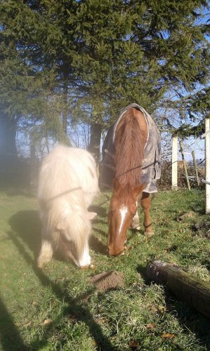 Babacool et Quick-Love, mes deux gros amours !