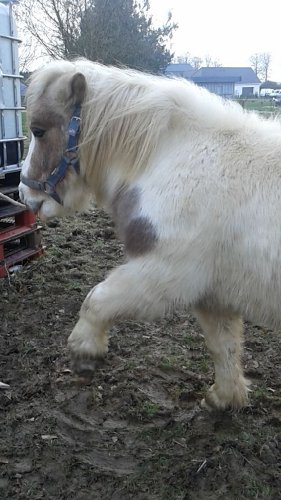 jambette de mon bébé