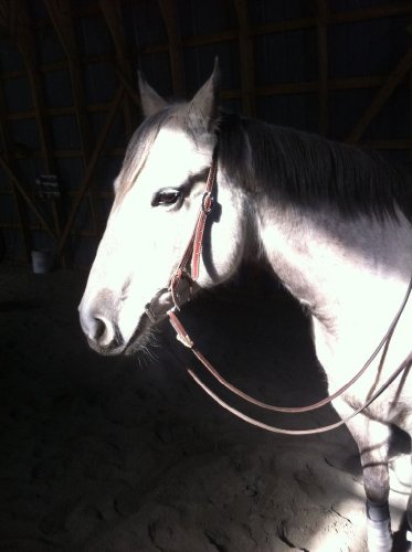 ma belle poilue :)