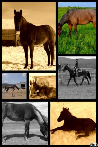 photo par Rubis7890
