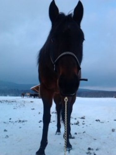 photo par Rubis7890