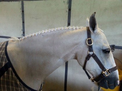 Tresses hunter