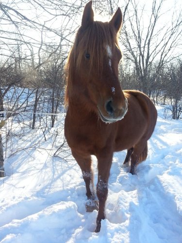 My angel :) 