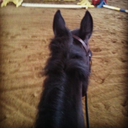 photo par lauegrenon