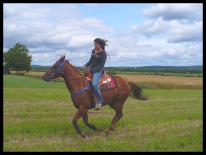 Au galop en rando!