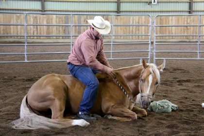 Clinique de Horsemanship ARPL 2013