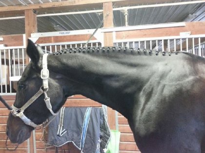 Premières tresses de la saison ^_^ 