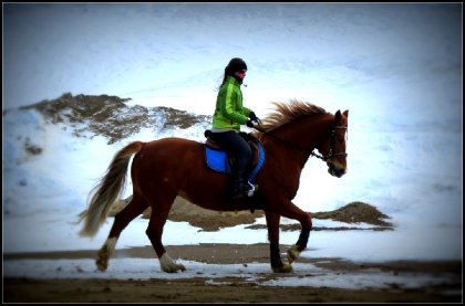 Dans le pite de sable avec ma jument Brazile, avril 2015. :)