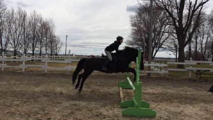 Parcours de saut avec Azad