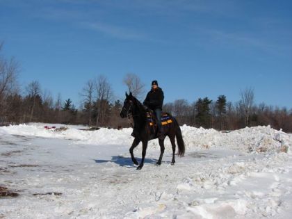 cavalière à cheval en hiver