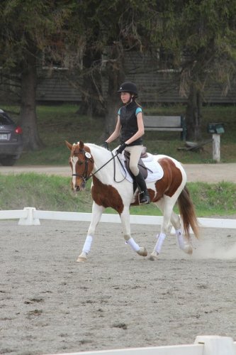 Tandalee 2015