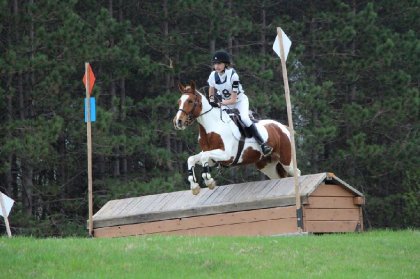Tandalee 2015