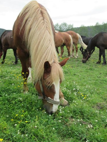 photo par Ve'ro