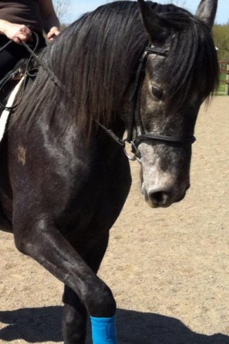 photo par Belleaxel