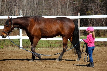 Ma petite qui apprennait à longer notre cheval! HUstle l'aime...