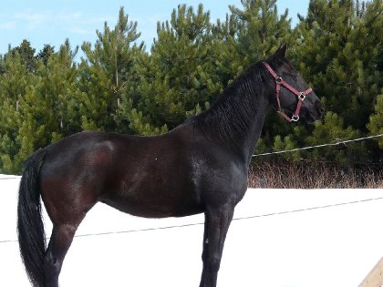À son arrivée dans sa nouvelle maison! Photo de sa proprio!