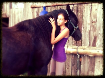 Une caresse au cheval