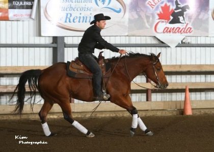 Custom Gold Medal, première compétition à vie de reining (pour...