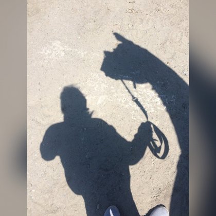 L'équitation le seule sport individuelle qui se pratique a deux....