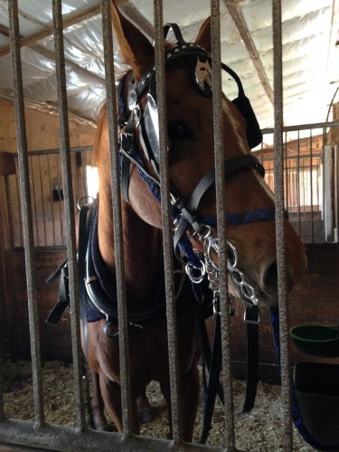 photo par Cath/Dusty
