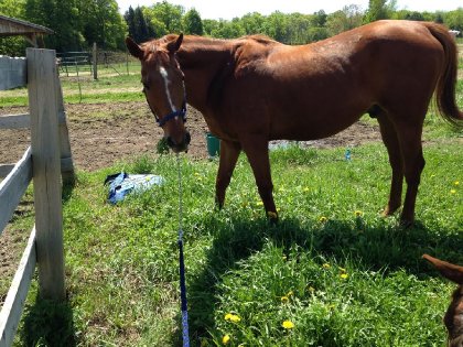 photo par Cath/Dusty