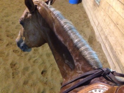 Une autre photo de ma premiere ride en cordelette 