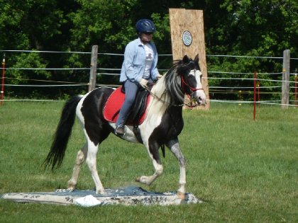 Journée de jeux de l'Association équestre du Pontiac, Bravada et...