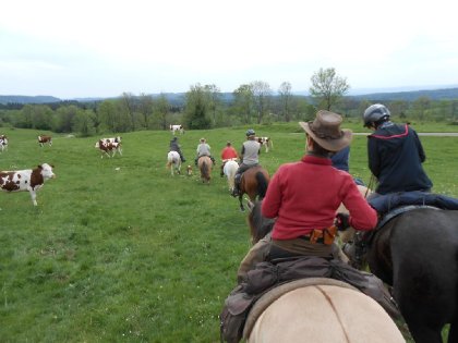 rien à voir avec le trie des vaches cher vous ,imaginez la joie...