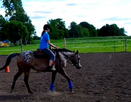 Entraînement de ma jument Beauty
